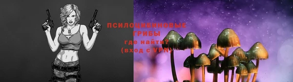 MDMA Горнозаводск