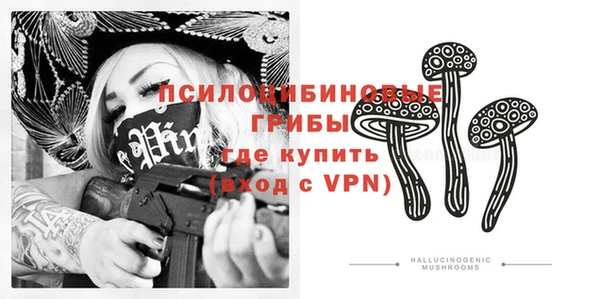 МДПВ Горняк