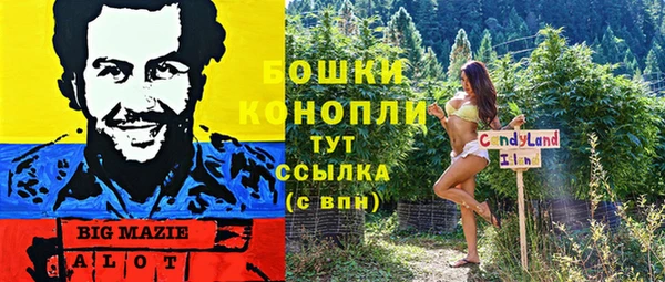альфа пвп Горно-Алтайск