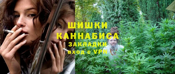 хмурый Вяземский