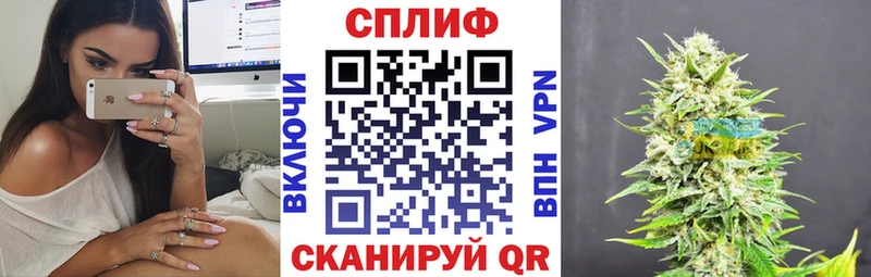 цены наркотик  hydra tor  Конопля сатива  Гусев 